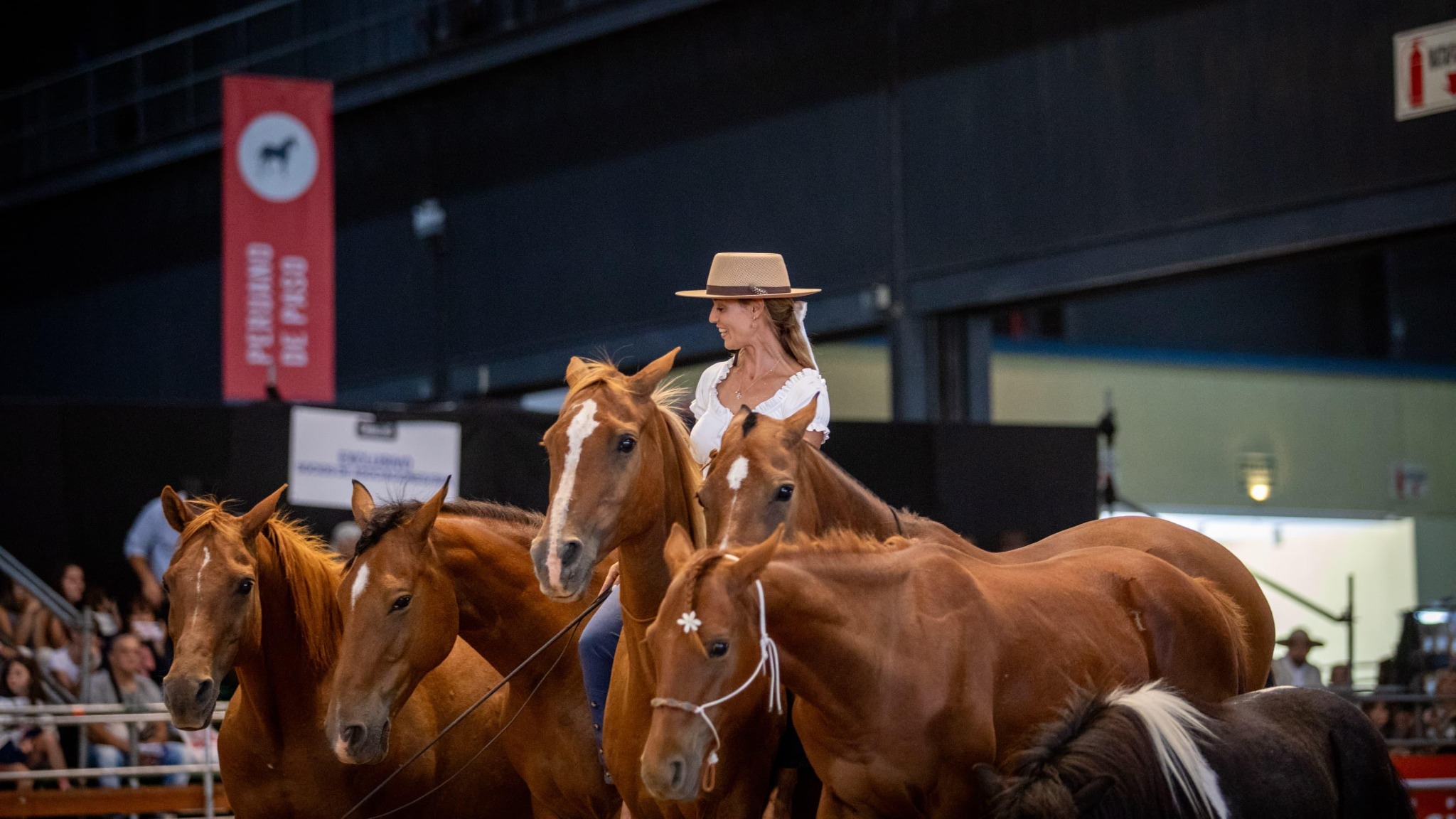 Demostración de Ailin trabajando con varios caballos
