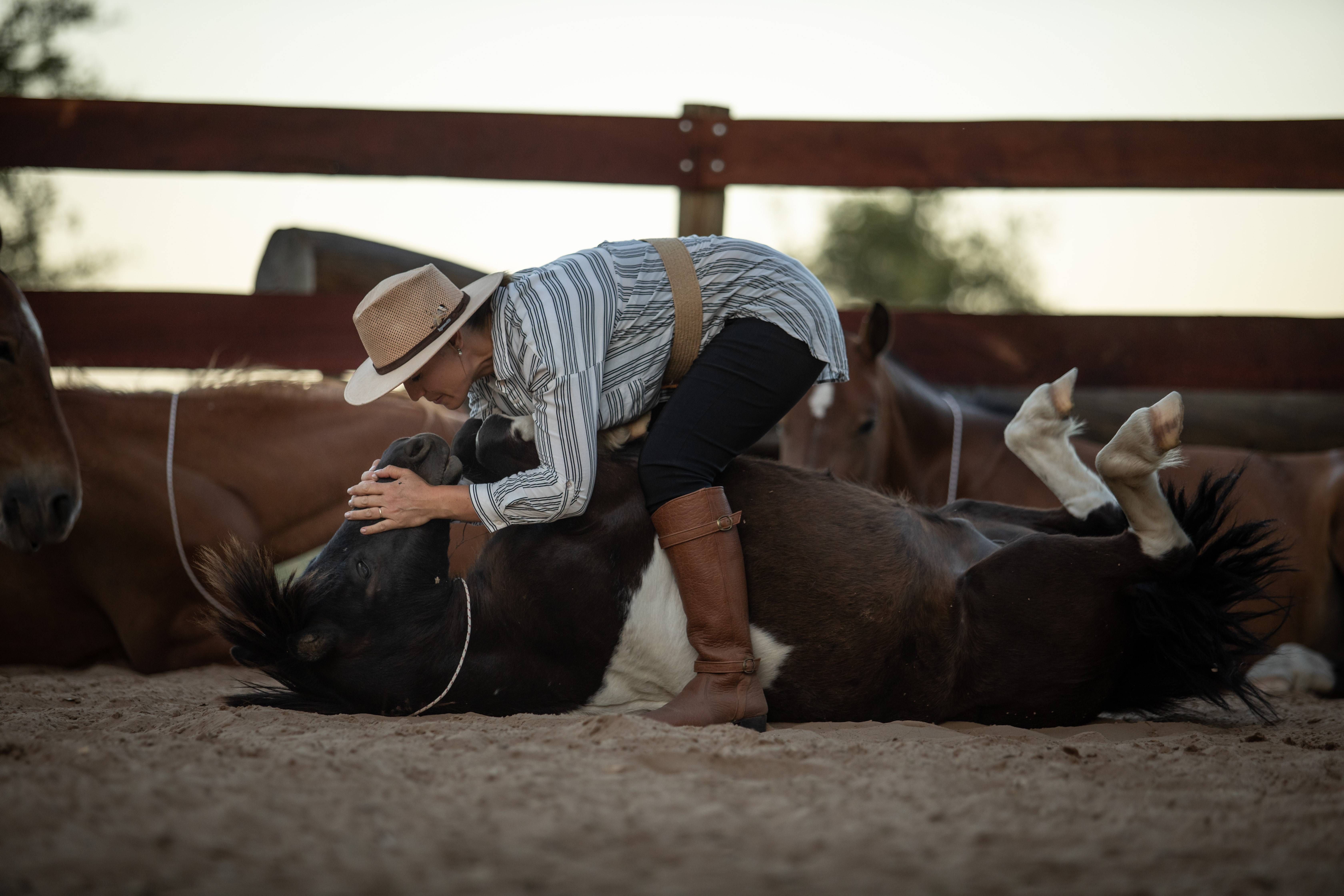 Ailin en contacto cercano con un caballo